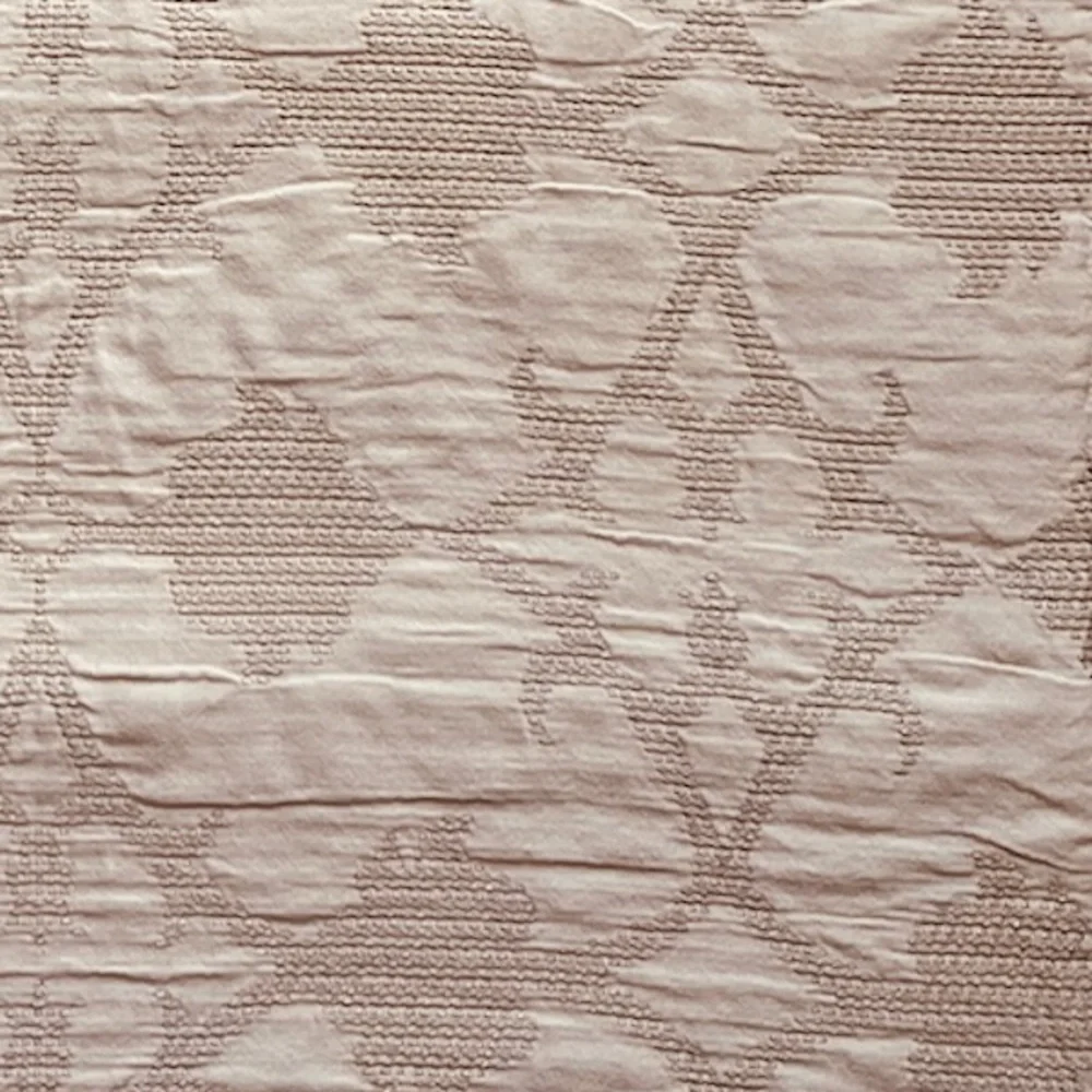 2 Pottery Barn textured pillow shams